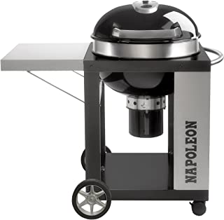 Barbacoa Napoleon Grills Barbacoa Napoleon Grills