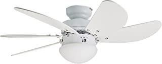 Ventilador de techo con luz