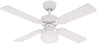 Ventilador de techo
